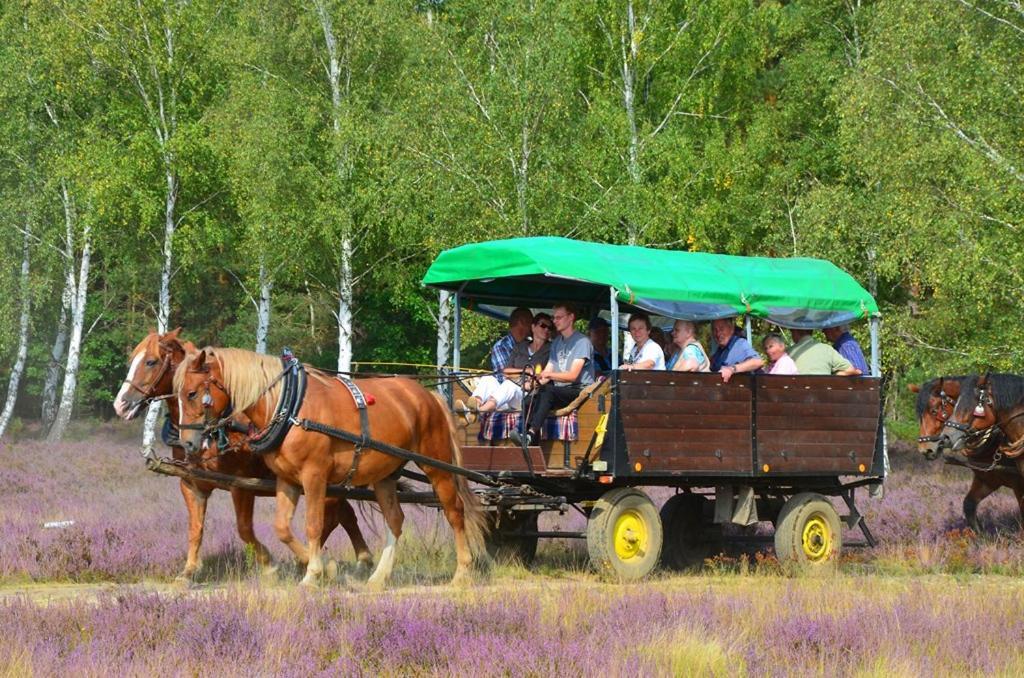 ホテル Parkschloesschen Maasdorf  エクステリア 写真