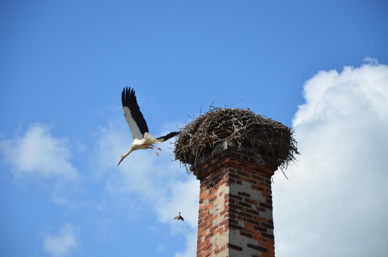 ホテル Parkschloesschen Maasdorf  エクステリア 写真